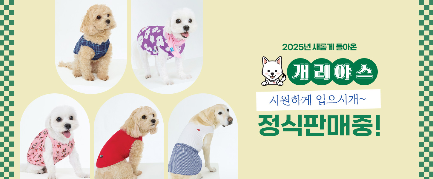 본문 슬라이드 배너