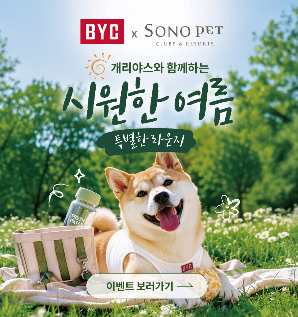 본문 슬라이드 배너